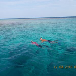 A snorkeller floating over a shallow reef in the Maldives