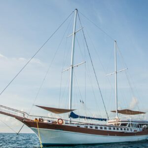 Photo of Akoya Pearl