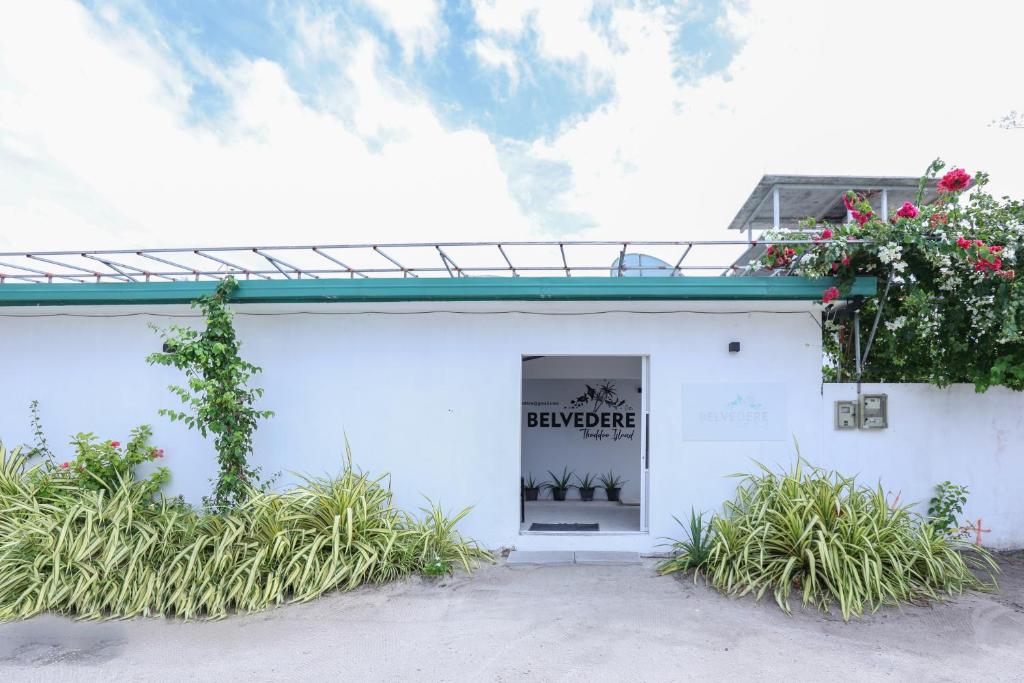 Photo of Belvedere Thoddoo