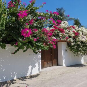 Photo of Holiday Cottage Thoddoo