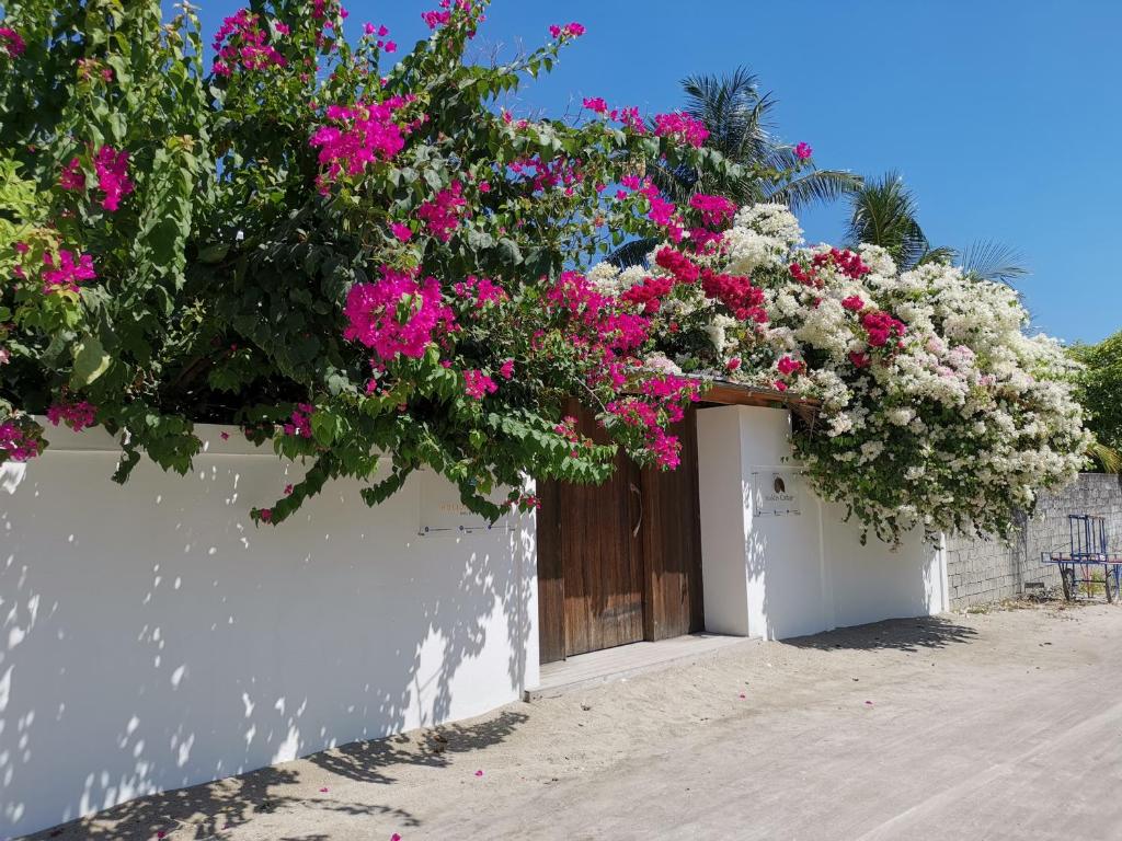 Foto von Holiday Cottage Thoddoo