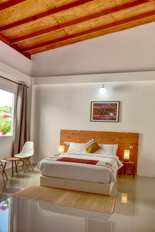 Photo of Island Ambience