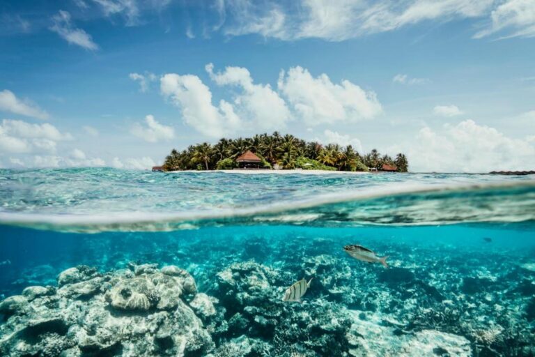 ROBINSON MALDIVES