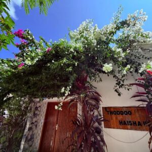 Photo of Thoddoo Haisha inn